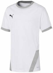 PUMA Póló kiképzés XXL Teamgoal 23 Jersey