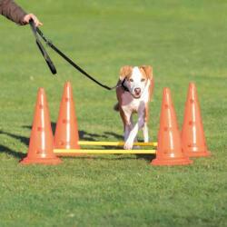 TRIXIE 32092 Dog Activity agility akadálypálya szett (Ø30cm x 50/100cm) - vetpluspatika