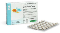 Arthrovet Plus tabletta 90db
