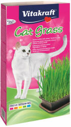 Vitakraft Cat Grass - macskafű dobozban 120g