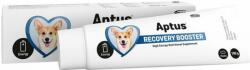 Aptus Recobooster Dog paszta 100 g - vetpluspatika