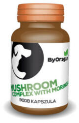 ByOrigin Mushroom Complex - Immunerősítő Gomba kapszula - vetpluspatika