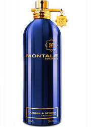 Montale Amber & Spices (Blue) EDP 100 ml Parfum