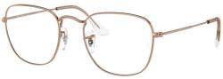 Ray-Ban Frank RB3857V 3107