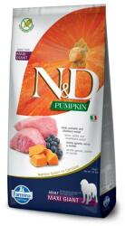 Farmina N&D Pumpkin Dog Adult Giant Maxi hrana pentru caini de talie foarte mare, cu miel si afine, 12 kg