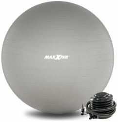 MAXXIVA® MAXXIVA Minge de gimnastică Ø 65 cm cu pompă, argintie (ZFF38520)