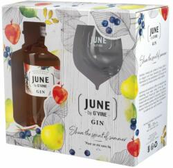 G'Vine June by G'Vine Wild Peach Gin (DD+Pohár) [0, 7L|37, 5%] - idrinks