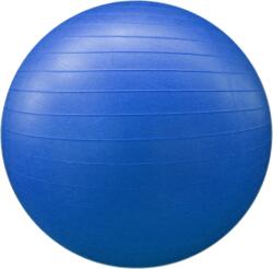 SPARTAN Gym Ball 55 cm (buc) (SP_GBL55) Minge fitness