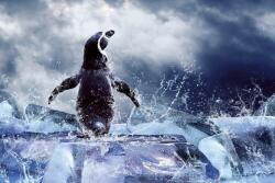  Pingvin a jégtömbön, poszter tapéta 375*250 cm (MS-5-0219)