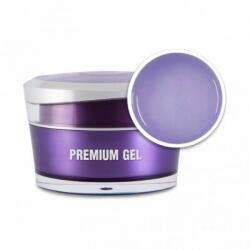 Perfect Nails Premium Gel 50g (PNZ044)