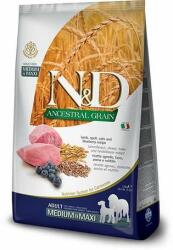 N&D Dog Adult Medium & Maxi Lamb & Blueberry Ancestral Grain (2 x (171934)