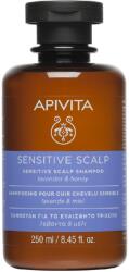 APIVITA Sampon pentru scalp sensibil, 250 ml, Apivita