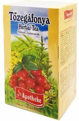 Apotheke Tőzegáfonya tea - 20 filter - vitaminbolt