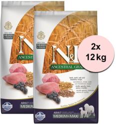 FARMINA N& D dog LG ADULT MEDIUM & MAXI Lamb & Blueberry 2 x 12 kg - abc-zoo