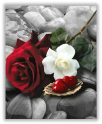  Kedveskedés - számfestő készlet