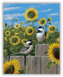  Madárkák - számfestő készlet