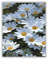  Fehér Margaréták- számfestő készlet