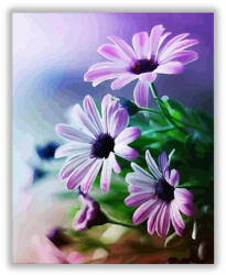 Számfestő Gyönyörű lila kamilla - számfestő készlet (crea1541)