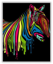 Számfestő Színes zebra - számfestő készlet (crea1461)