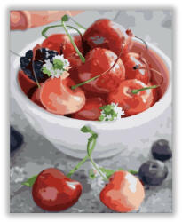  Gyümölcsök a tálban - számfestő készlet