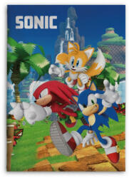  Sonic a sündisznó Speedy Dreams polár takaró 100x140cm (BRM013995) - oliviashop