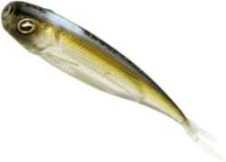 Raid Shad Raid Roller Fish Skin, 8.9cm, The Bait, 7buc/plic (RAID13567)