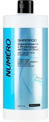 Brelil Șampon cu ulei de măsline pentru păr creț - Brelil Numero Elasticizing Shampoo 1000 ml