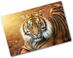 Wallmuralia. hu Üveg vágódeszka Bengáli tigris 80x52 cm