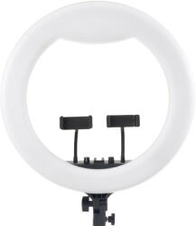 Jinbei Vlog-fény"-Jinbei EFR-48 LED körlámpa állvánnyal