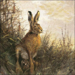 Ambiente Portrait Of Hare papírszalvéta 33x33cm, 20db-os - perfectodekor