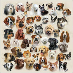 Ambiente Collection of Dogs papírszalvéta 33x33cm, 20db-os - perfectodekor