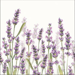 Ambiente Lavender Shade White papírszalvéta 33x33cm, 20db-os
