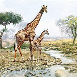 Ambiente Giraffes papírszalvéta 33x33cm, 20db-os - perfectodekor