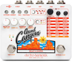 Electro-Harmonix Grand Canyon Delay/Looper