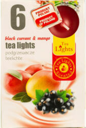 Tea lights Illatos teamécses tl6 mangó-feketeribizli 1055 6 db - vital-max