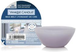 Yankee Candle A Calm & Quiet Place illatos viasz 22 g
