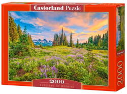 Castorland Puzzle Castor 2000 Piese Blossoms of Morning (200863)