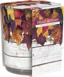 BISPOL Lumânare parfumată Bispol Aura - Hello Autumn, 120 g (sn72s-43)