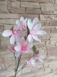 Magnolia ÁG M87CM-rózsaszín (rozsaszinmagnolia)