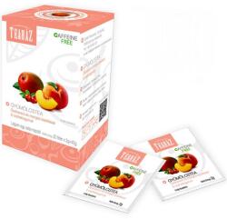 Gárdonyi Teaház Gyümölcstea őszibarack és mangós ízesítéssel, csipkebogyóval - 20 filter - egeszsegpatika