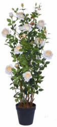 Selyemvirág rózsabokor barack 167cm (100004298)