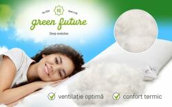 Green Future Feeling párna, 70 x 70 cm, 50% libatoll 50% pehely