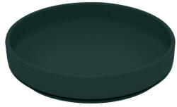  PETITE&MARS Szilikon tányér tapadókoronggal TAKE&MATCH Misty Green 6m+ - babastar