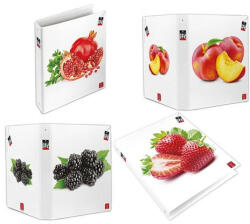 Pigna Gyűrűs könyv Pigna Fruits A/4 4 gyűrűs 40 mm gerinccel (023262830/023302430)