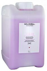 Goldwell Șampon pentru părul vopsit, conferă strălucire - Goldwell Dualsenses Color Brilliance Shampoo 30 ml