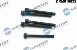 Dr. Motor Automotive Drm-drm01063s