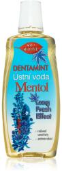 Bione Cosmetics Dentamint Menthol apă de gură 500 ml - notino - 20,00 RON