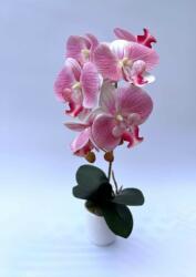  1 szálas örök orchidea-RÓZSASZÍN (anyaknapiorchidea2023)