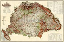 Magyarország erdészeti térképe fóliázott, lécezett (HMERD-194x124)