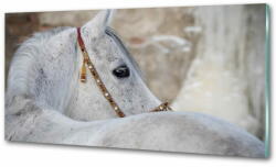  Wallmuralia. hu Konyhai fali panel Fehér arab ló 140x70 cm